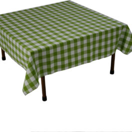 Green & White Gingham Tablecloth 48 x 48