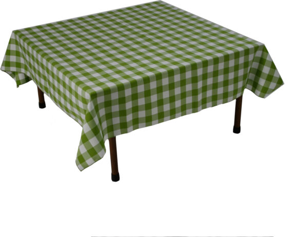 Green & White Gingham Tablecloth 48 x 48